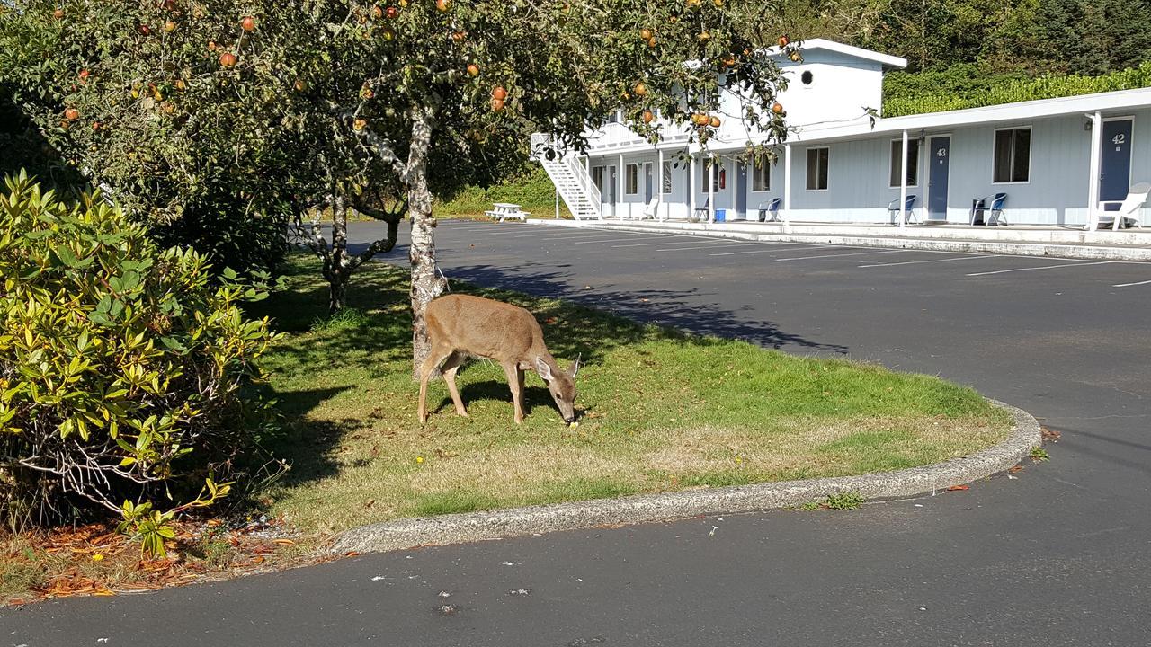 Winchester Bay Inn Reedsport Værelse billede